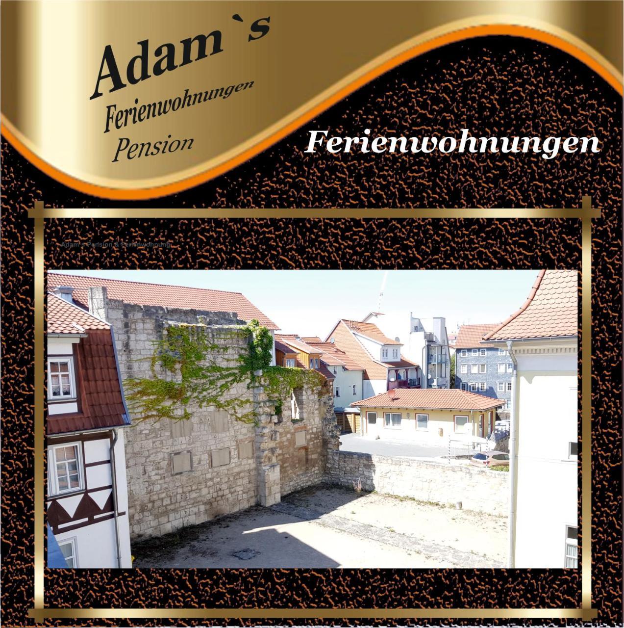 Mühlhausen Adams Pension Und Ferienwohnungen מראה חיצוני תמונה